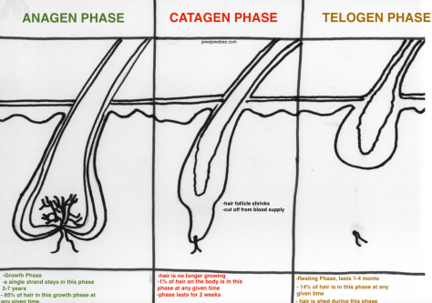 Screen Shot 2015-11-18 at 12.21.01 PM